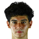 H. Sargsyan