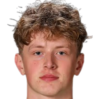 V. Sedin