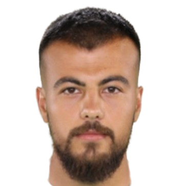 Feyzi Yıldırım