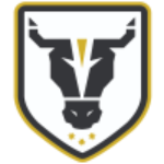 Bulls