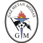 Gaz Metan