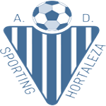 AD Sporting Hortaleza
