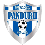 Viitorul Tg. Jiu