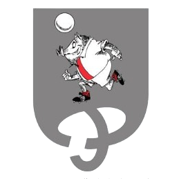 Doneztebe Ft
