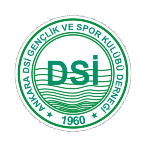 Ankara D.S.İ.