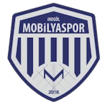 İnegöl Mobilya