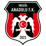 İnegöl Anadolu