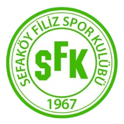 Filizspor