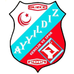 81 Ayyıldız logosu