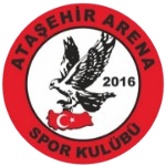 A.Arenaspor